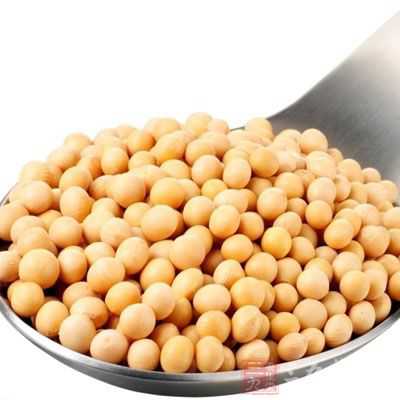 豆類含有卵磷脂